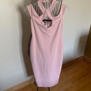 Nookie Blush Bodycon Dress